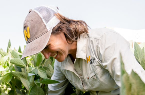 Cultivo de maíz